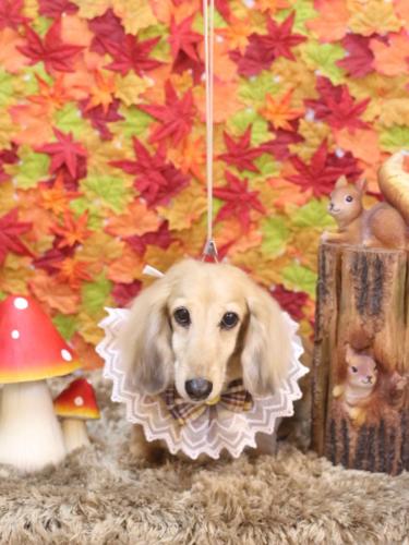 20241108そらくん